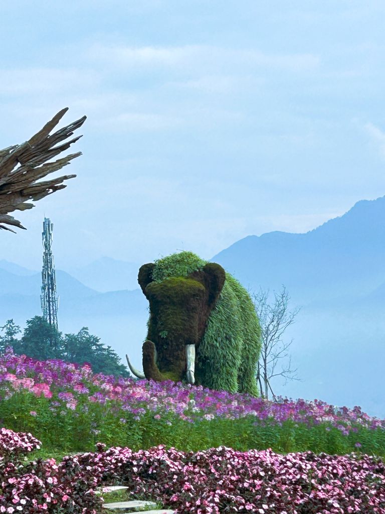 Fansipan Sapa Vietnam