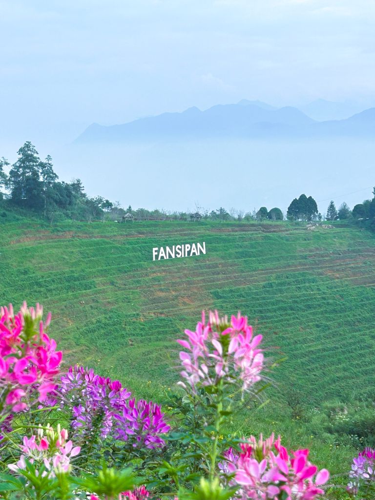 Fansipan Sapa